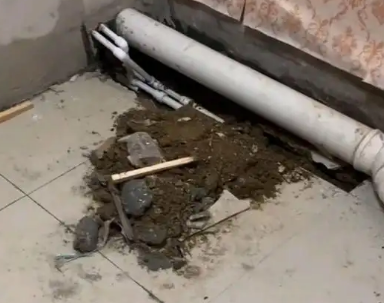 通河卫生间漏水检测哪家好