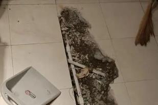 通河卫生间漏水检测电话